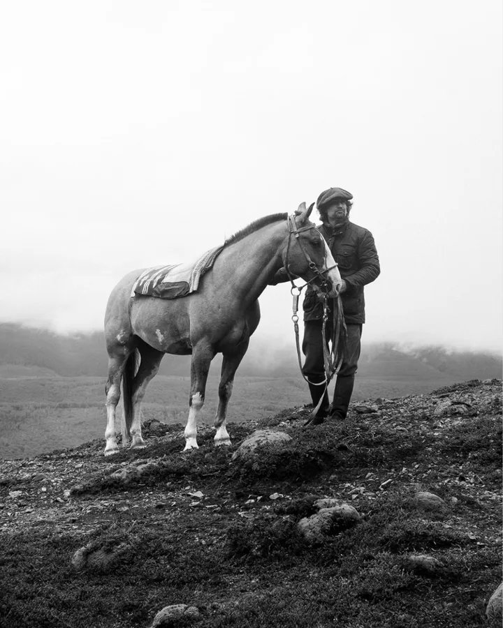 A horse photograph by Photos by Chicken.